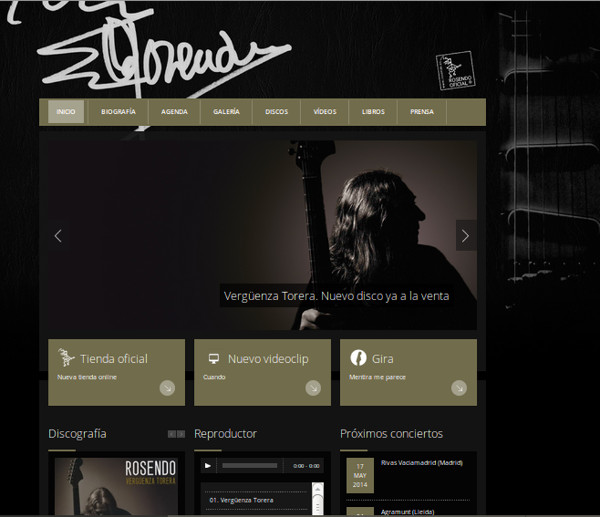diseño web wordpress