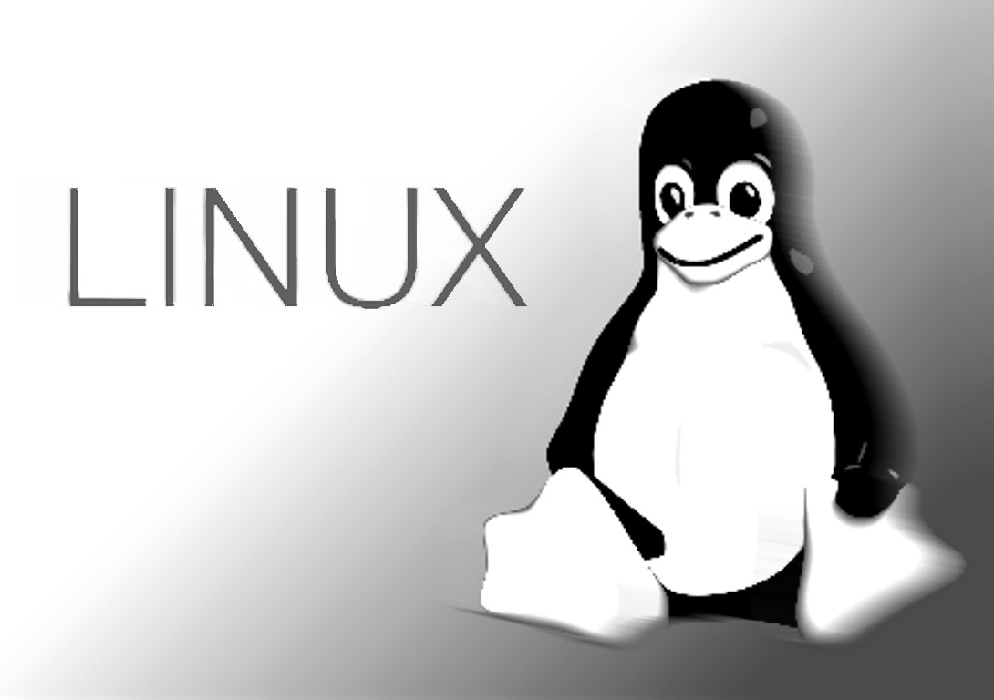 Problema de arranque INITRAMFS