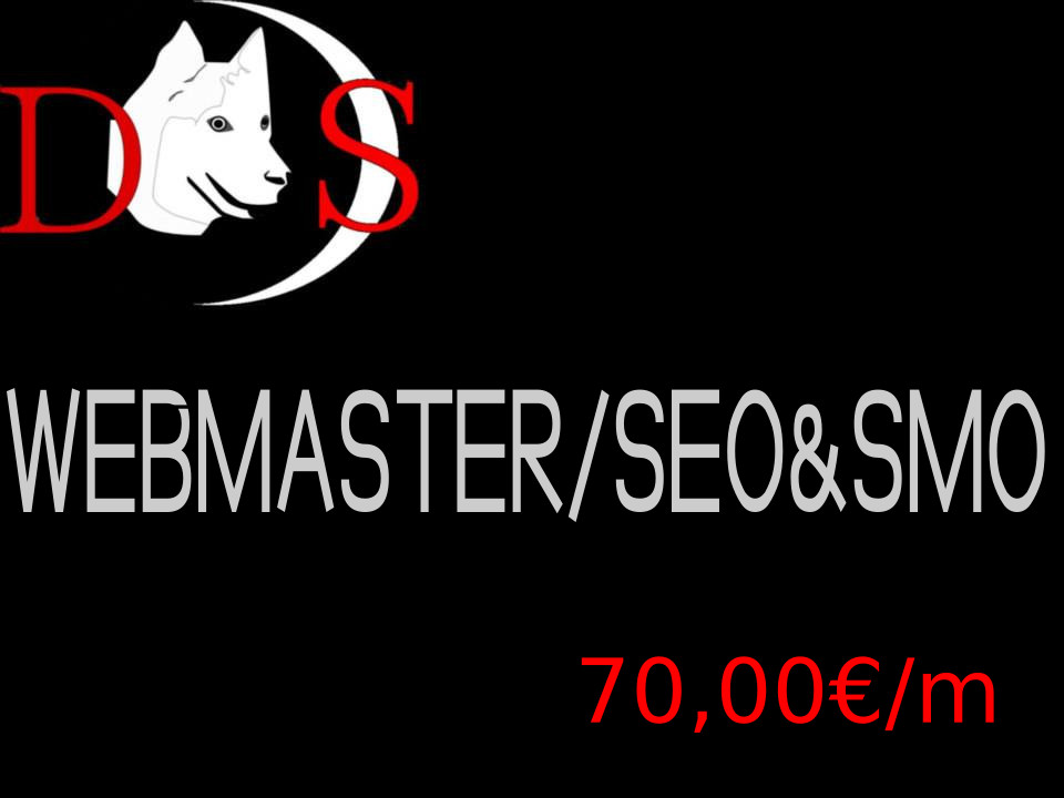webmaster, seo y smo